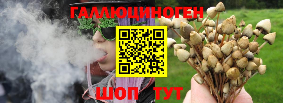 ГАШ Карачаевск